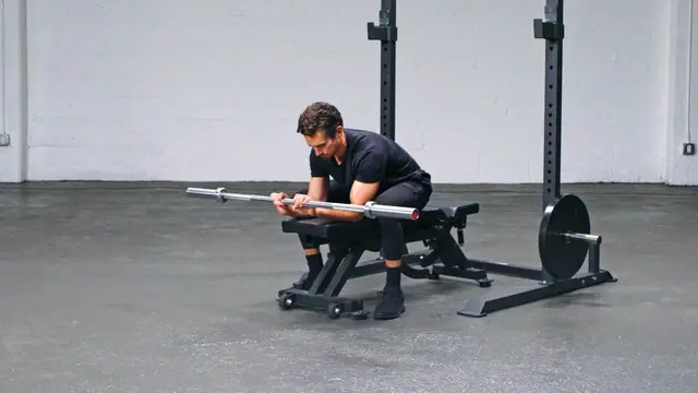 Palms-Down Barbell Wrist Curl exercise being performed