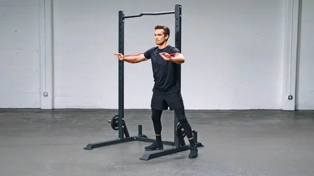 Loop Band Standing Chest Press exercise being performed