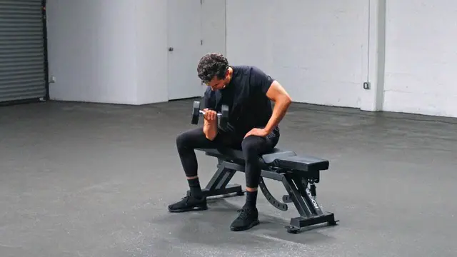Concentration Curl